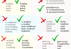 przykłądy błędów językowych