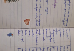 zdjęcie zesztyu do języka polskiego